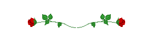 RosesDivider.gif RosesDivider.gif