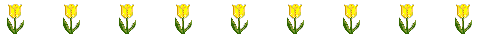 YellowTulipDiv.gif