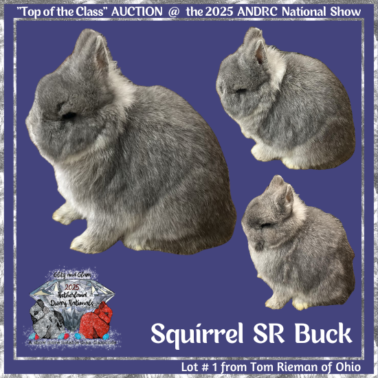 25Nat-Lot1-Rieman.png