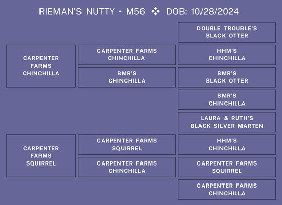 25Nat-Lot1-RiemanPed.png