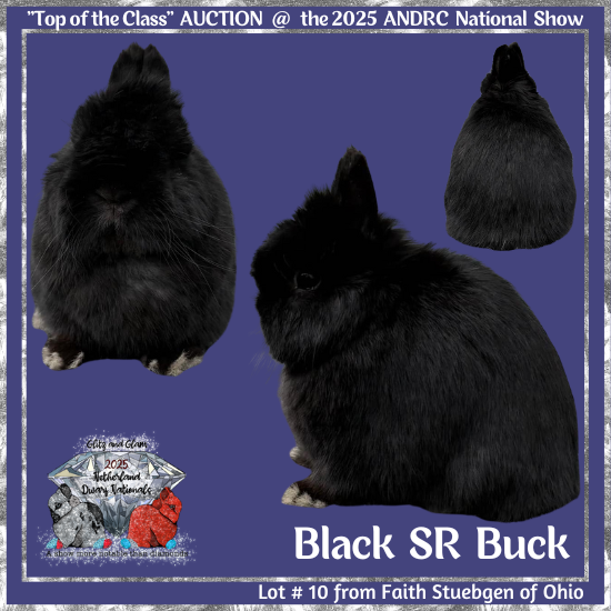 25Nat-Lot10-Stuebgen.png