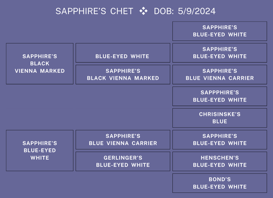 25Nat-Lot11-Schott-Ped.png