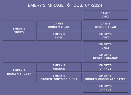 25Nat-Lot12-GrovePed.png