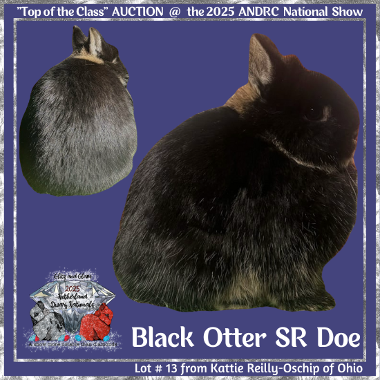 25Nat-Lot13-RO2.png