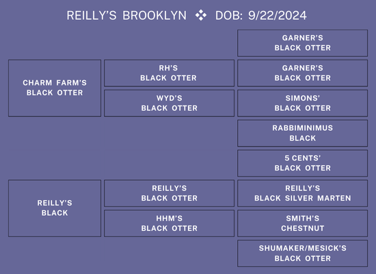 25Nat-Lot13-RO2Ped.png