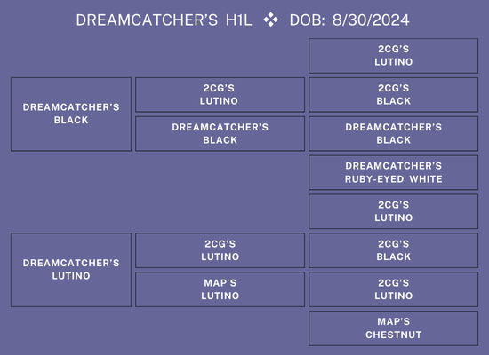25Nat-Lot15-PowersPed.png