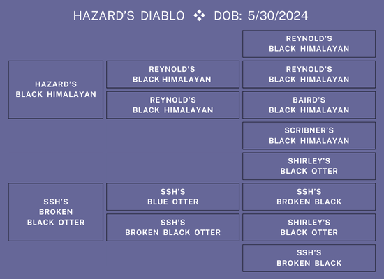 25Nat-Lot16-HazardPed.png