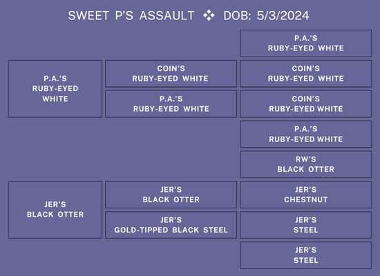 25Nat-Lot2-HeadPed.png