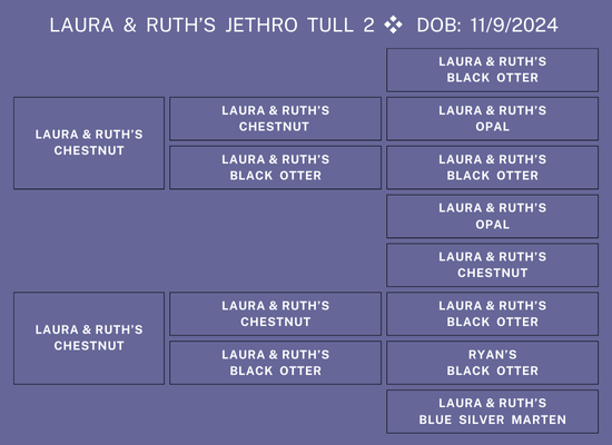25Nat-Lot3-LRPed.png