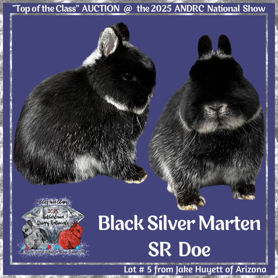 25Nat-Lot5-3J.png