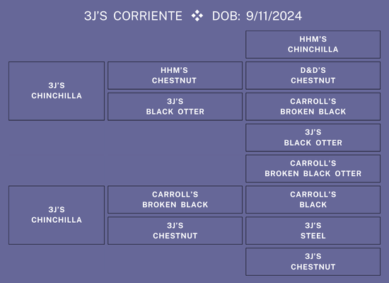 25Nat-Lot5-3JPed.png