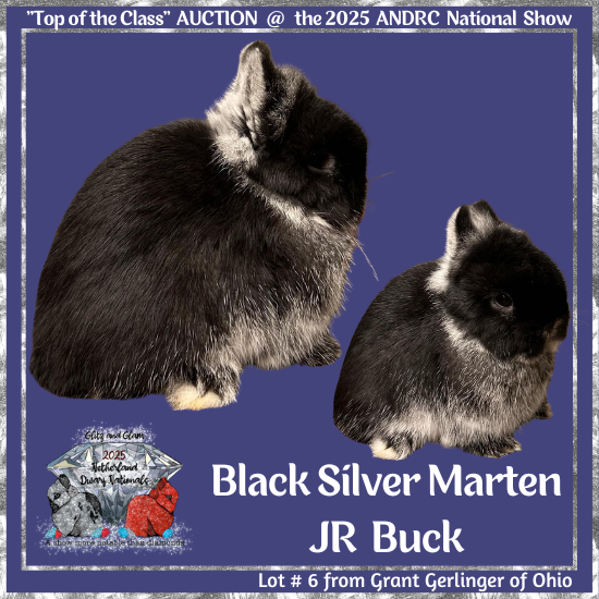 25Nat-Lot6-Gerlinger.png