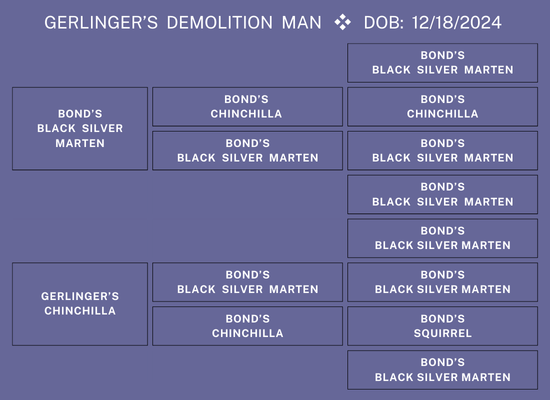 25Nat-Lot6-GerlingerPed.png