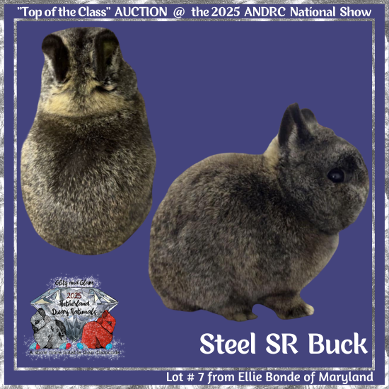 25Nat-Lot7-Bonde.png