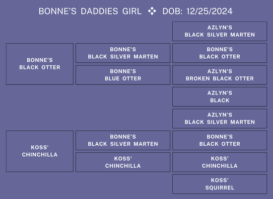 25Nat-Lot8-BonnePed.png