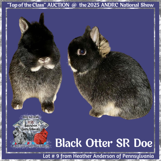25Nat-Lot9-Anderson.png