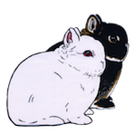 DJW-DwarfDuo-Small.png