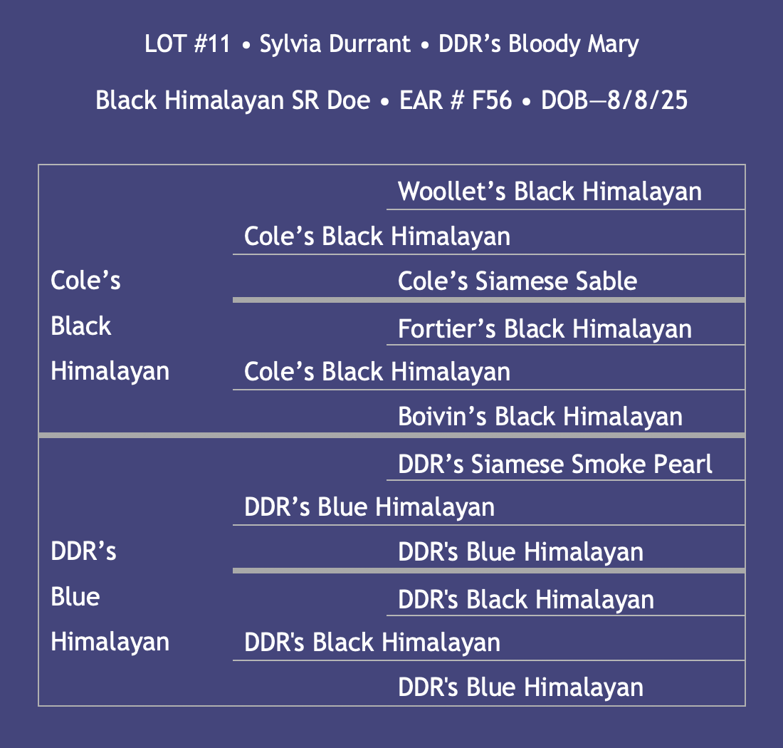 Lot11-Durrant.png