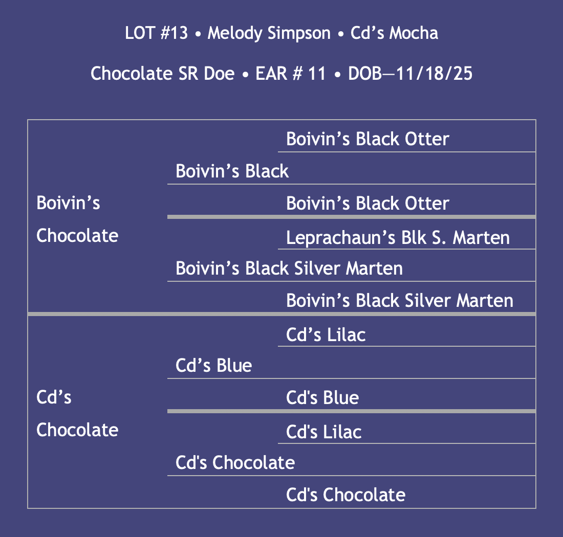 Lot13-Simpson.png