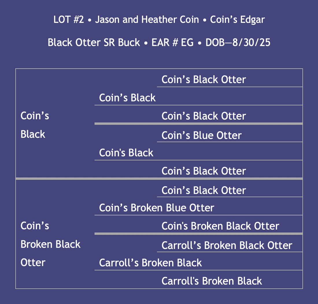 Lot2-Coin.png