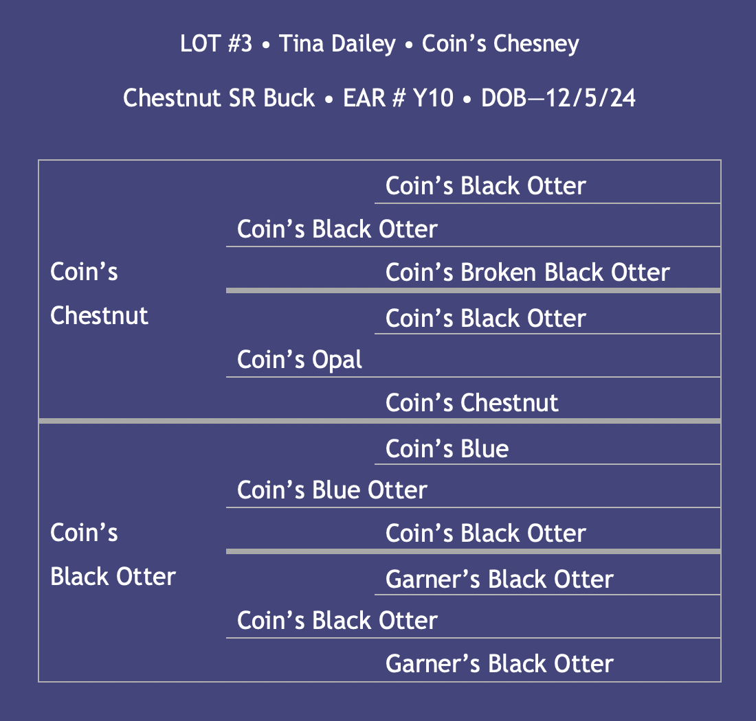 Lot3-Dailey.png