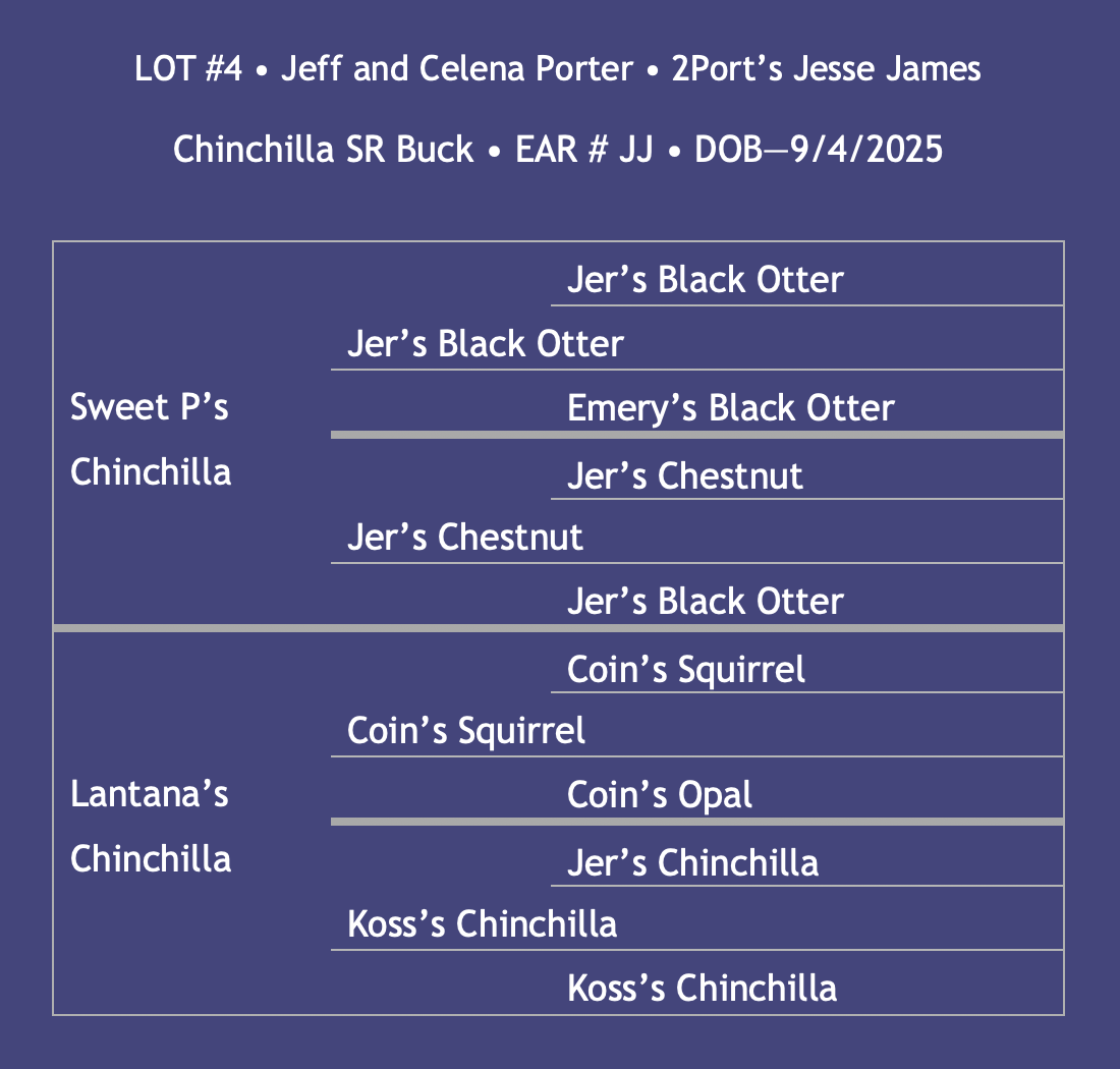 Lot4-Porter.png