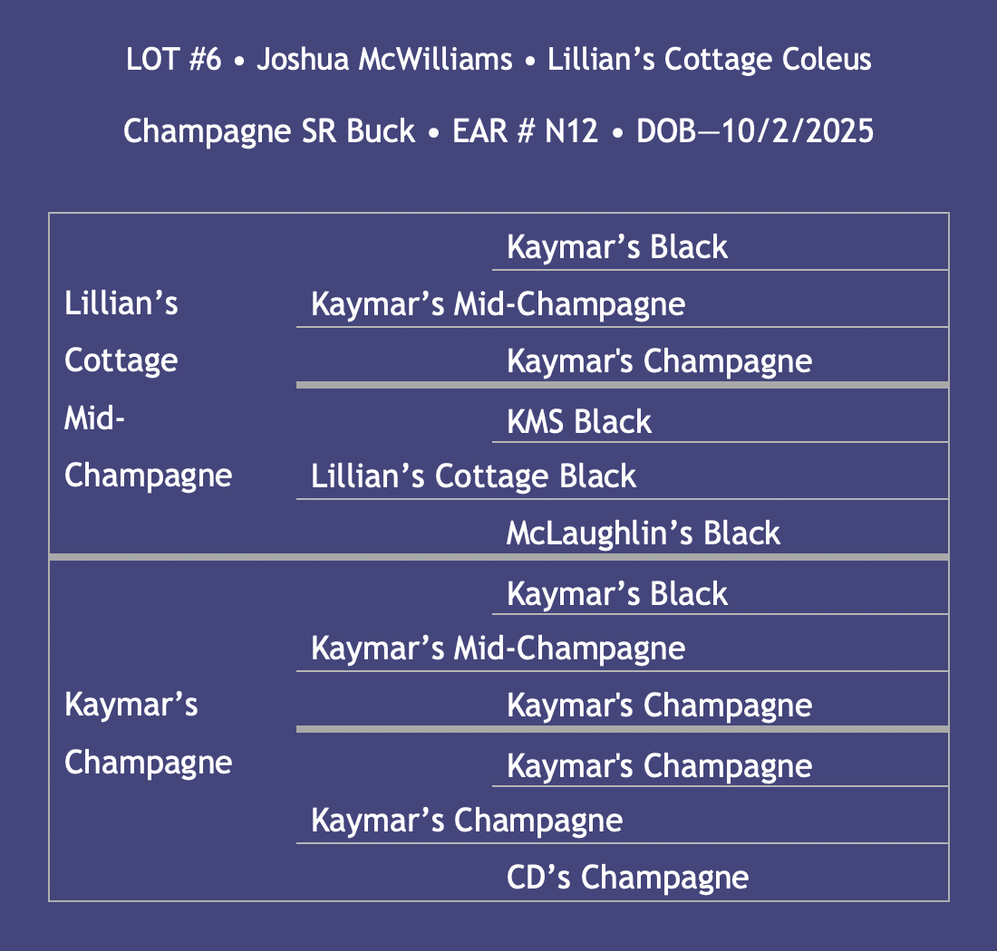 Lot6-McWilliams.png