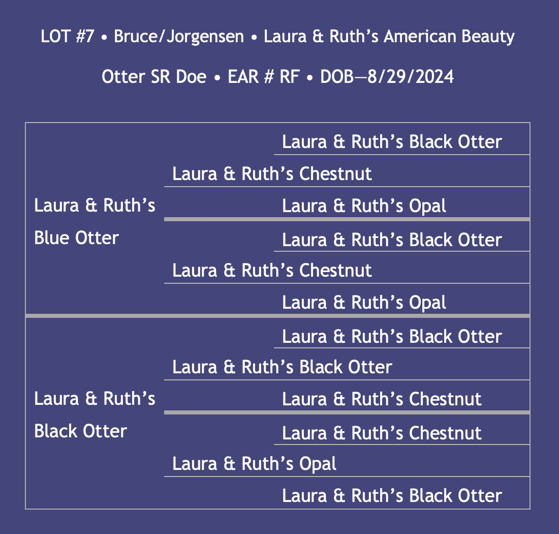 Lot7-L&R.png