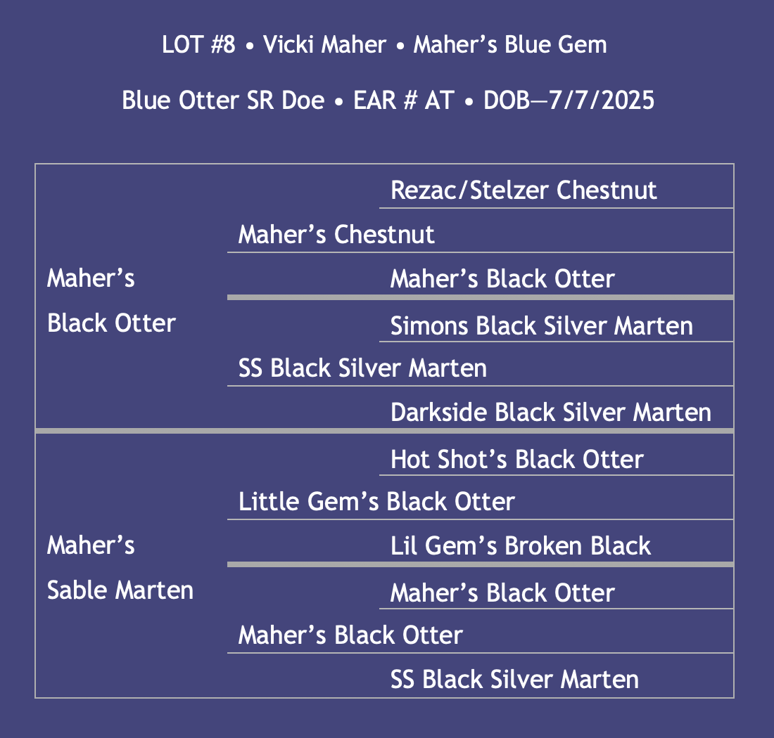 Lot8-Maher.png