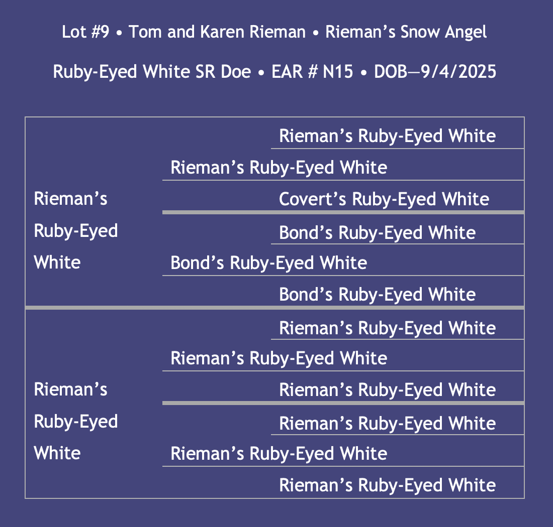 Lot9-Rieman.png