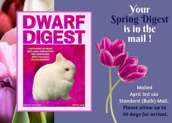 Spring25DD.png
